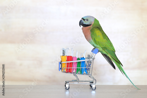 Parrot on model miniature shopping cart and shopping bag on wooder background photo