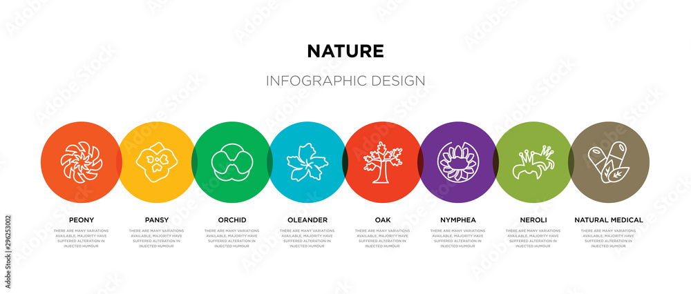 8 colorful nature outline icons set such as natural medical pills, neroli, nymphea, oak, oleander, orchid, pansy, peony