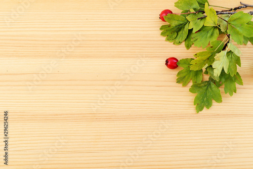 Ripe hawthorn berries on a branch on a wooden surface close-up. Autumn background, top view, copy space