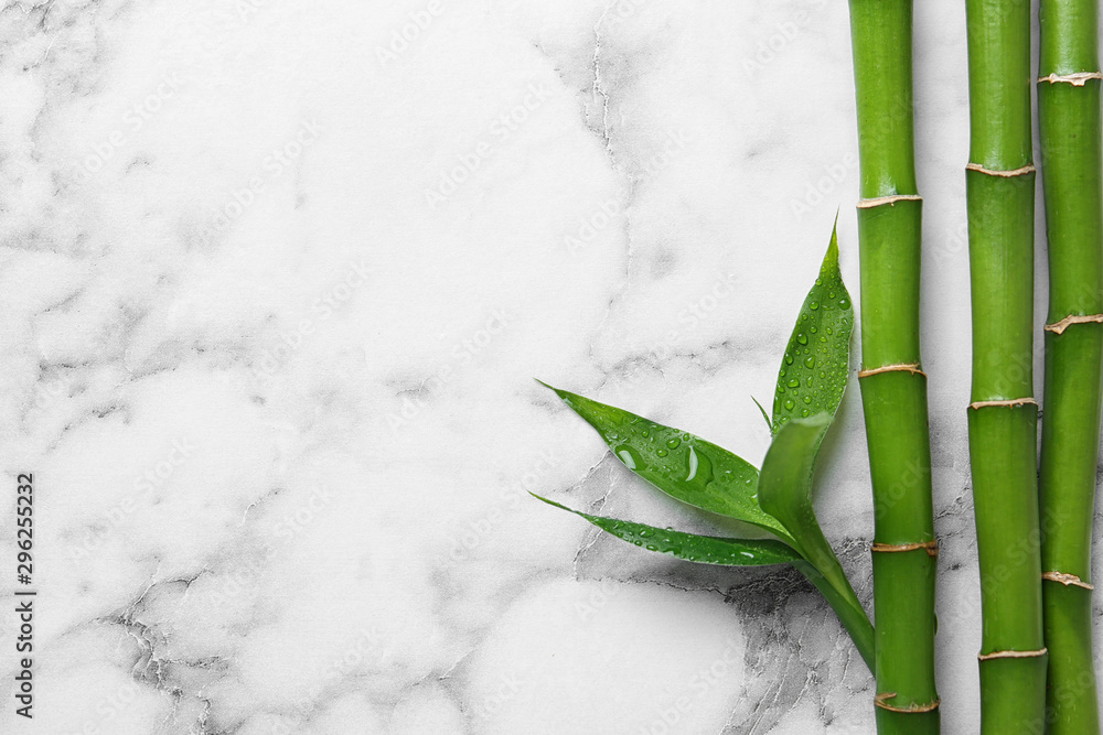 Green bamboo stems on white marble background, top view. Space for text - obrazy, fototapety, plakaty 