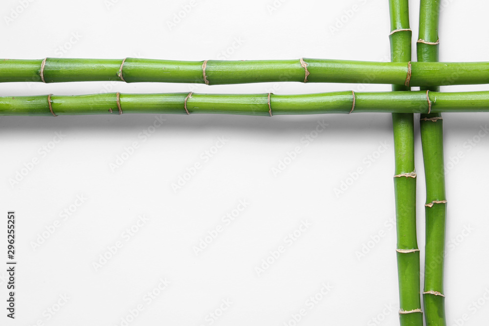 Fototapeta Green bamboo stems on white background, top view