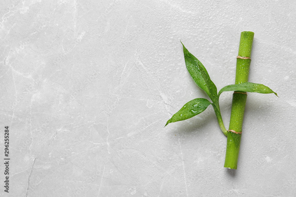 Naklejka Green bamboo stem with leaves on light background, top view. Space for text