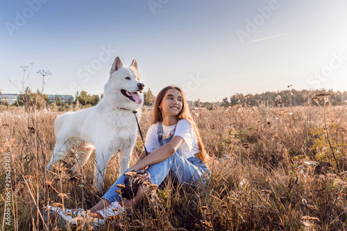 White cute dog on a walk. The breed is a Samoyed husky. Dog in the field looks into the distance.