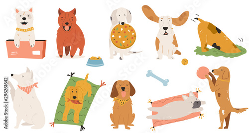 Colorful bundle of playful and funny dogs