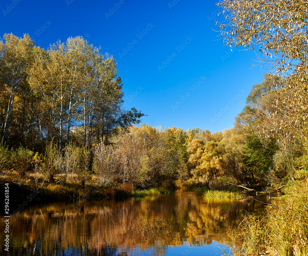 Autumn forest on the riverbank