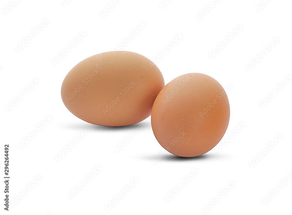 chicken egg isolated on white background chicken egg isolated on white background