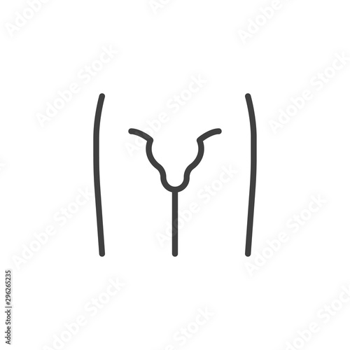 Male genital line icon. linear style sign for mobile concept and web design. Penis body part outline vector icon. Symbol, logo illustration. Vector graphics
