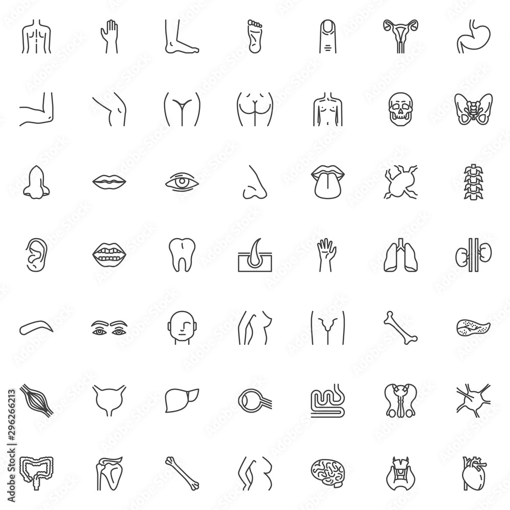 Human body parts line icons set. linear style symbols collection, outline signs pack. vector graphics. Set includes icons as human internal organs, heart, brain, torso, blood, backbone, eyeball organ Human body parts line icons set. linear style symbols collection, outline signs pack. vector graphics. Set includes icons as human internal organs, heart, brain, torso, blood, backbone, eyeball organ
