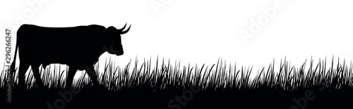 A silhouette of a big cow on a meadow.