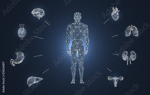Human internal organs low poly banner template. Man body, brain, liver, stomach, heart, lungs, kidneys polygonal illustration. Anatomy scientific poster, tutorial, schoolbook design layout