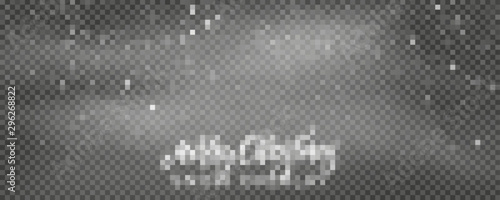 Snow background. Winter Christmas snowstorm blizzard. Snowfall, snowflakes banner