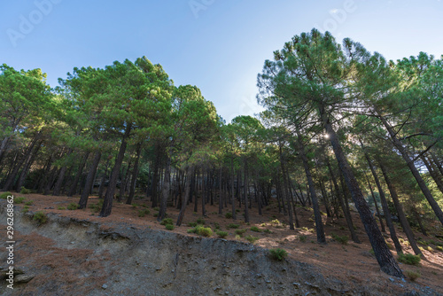 mountainous area near Trevelez (Spain) © Javier