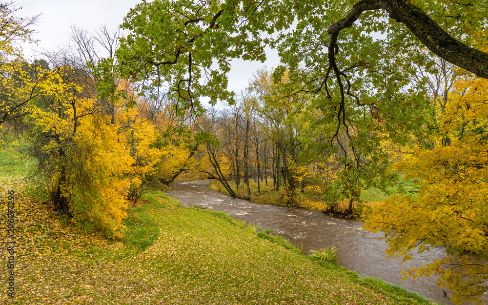 Fototapeta premium Beautiful Autumn forest in raining day