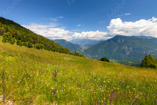 Panorama of hiking trail around Vason Area at Trento  Italy