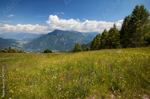 Green meadows at Vason area, Trento province, Italy