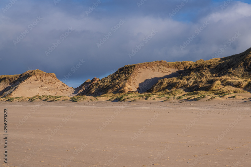 Die Dünen von Egmnd aan Zee/NL