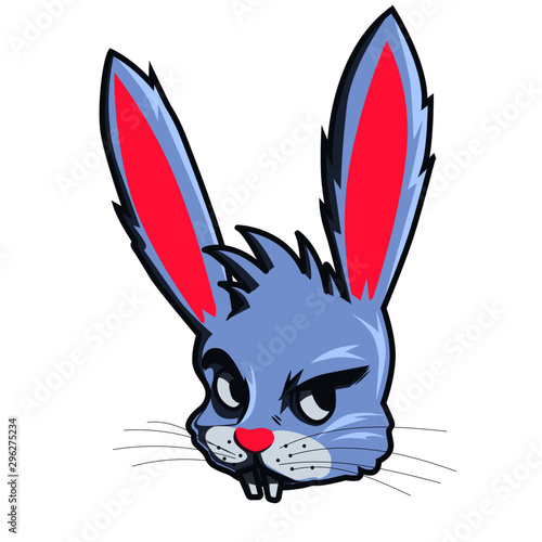 conejo
