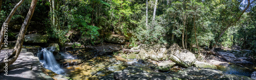 Sun dappled panoramic view of Somersby Falls and woods at Somersby, NSW, Australia