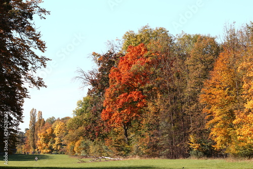 Herbstliche Landschaft mit bunten Blättern