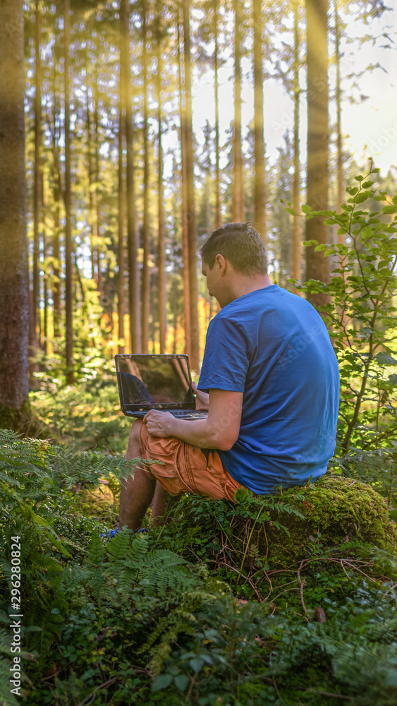 Fototapeta premium Healthy work life balance - working with a laptop in a green sunny forest.