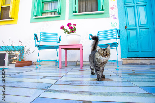 Ayvalik / Turkey, Cunda isl...