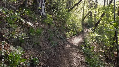 Walking through forest on beautiful hiking path to the top of the hill. Filming first person view while walking in hills in slow motion.