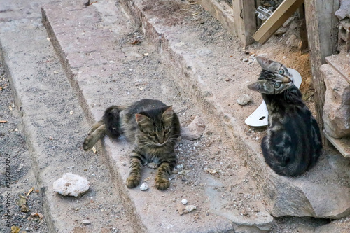 Ayvalik / Turkey, Cunda isl...
