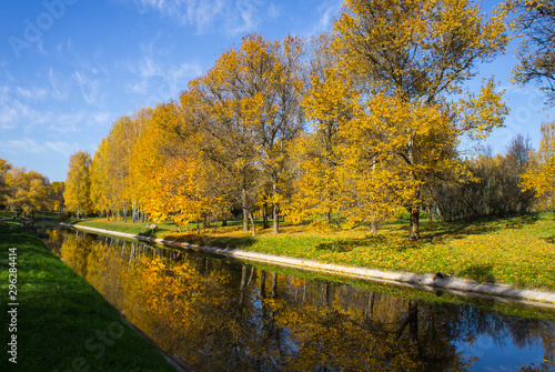 Autumn park with yellow leaves and trees with a river and reflection in the water and blue sky. © Payllik