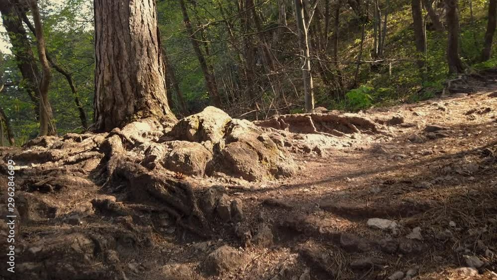 Hiking on rocky mountain path on beautiful sunny sunday morning. Filming first person view while walking in hills in slow motion. Hiking on rocky mountain path on beautiful sunny sunday morning. Filming first person view while walking in hills in slow motion.