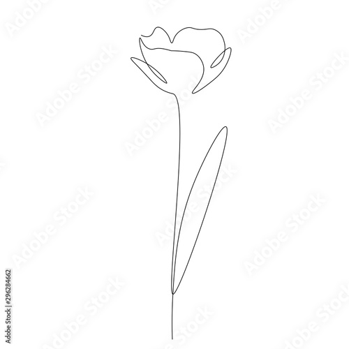 Spring flower silhouette line drawing vector illustration