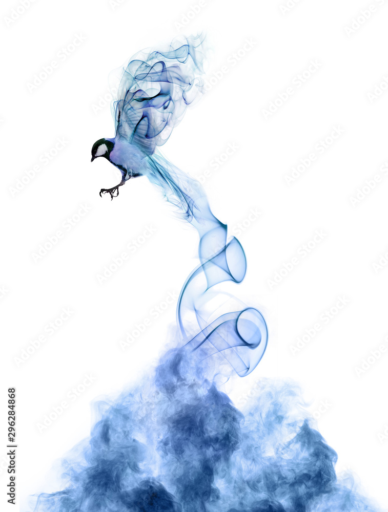 Fototapeta premium flying abstract bird from blue smoke cloud