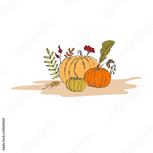 botanical drawing, decorative, colorful, floral, composition, greeting, november, drawing, bouquet, yellow, white, seasonal, vector, holiday, natural, vegetable, design, isolated, october, food, thank