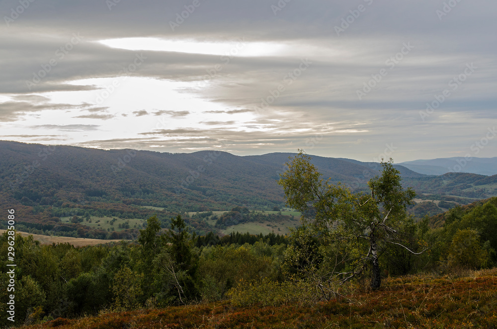 Bieszczady panorama z połoniny caryńskiej Bieszczady panorama z połoniny caryńskiej