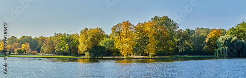 Herbstliches Panorama mit heller Sonne, die durch die Bäume scheint und Reflexionen oder Spiegelungen im Wasser