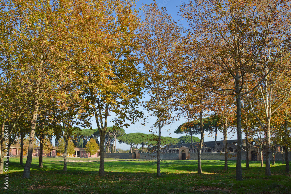 Naklejka premium Pompei, Italy, 11/15/2015. The ruins of the ancient Roman city destroyed by the eruption of the Vesuvius volcano.