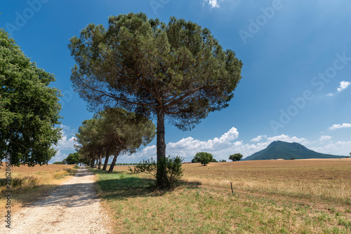 Rural landscape in the Rome province