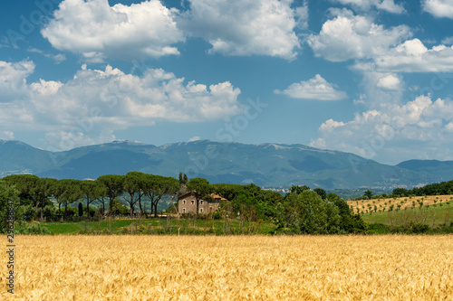 Rural landscape in the Rome province photo