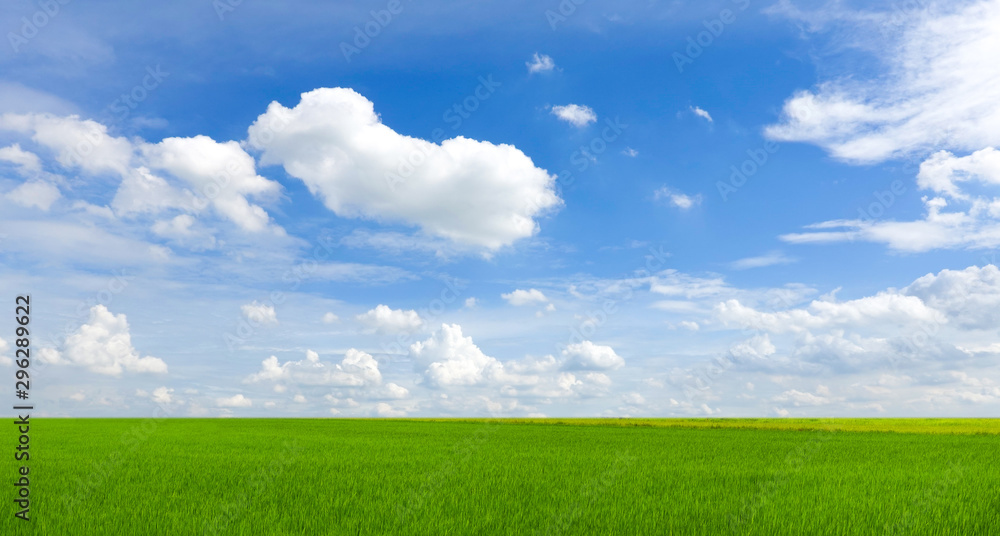 sky and green field background panorama sky and green field background panorama