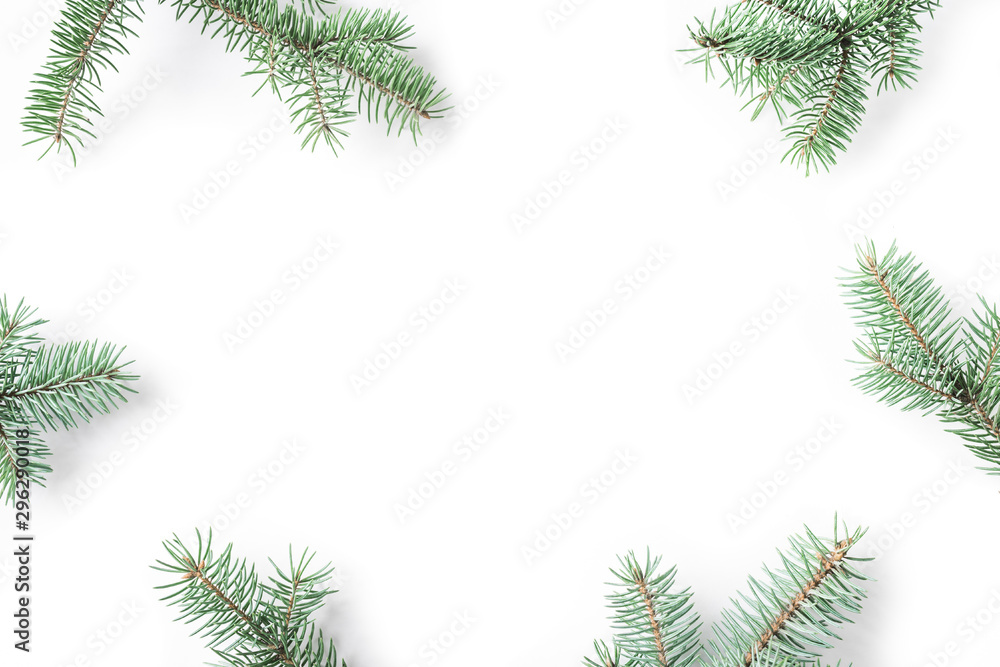 Pine branches