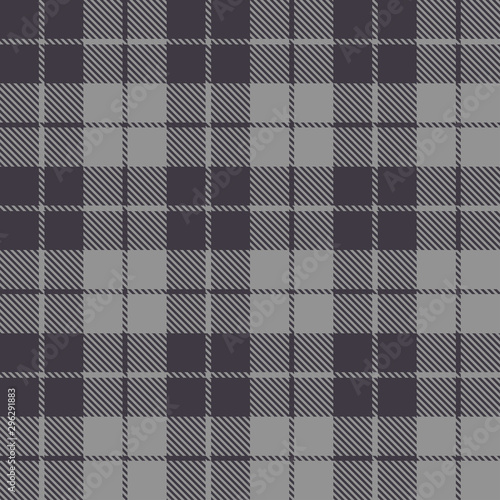 Beautiful checkered grey plaid pattern vector