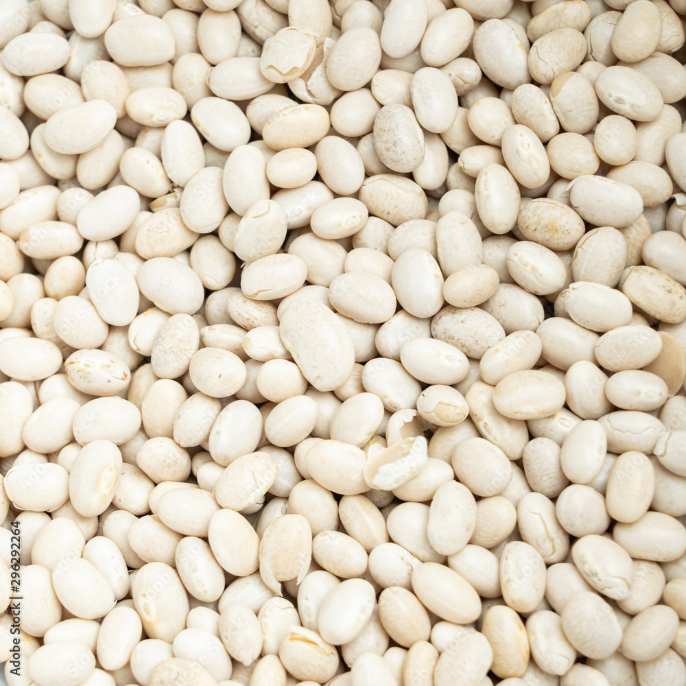 Many white beans in close-up, square
