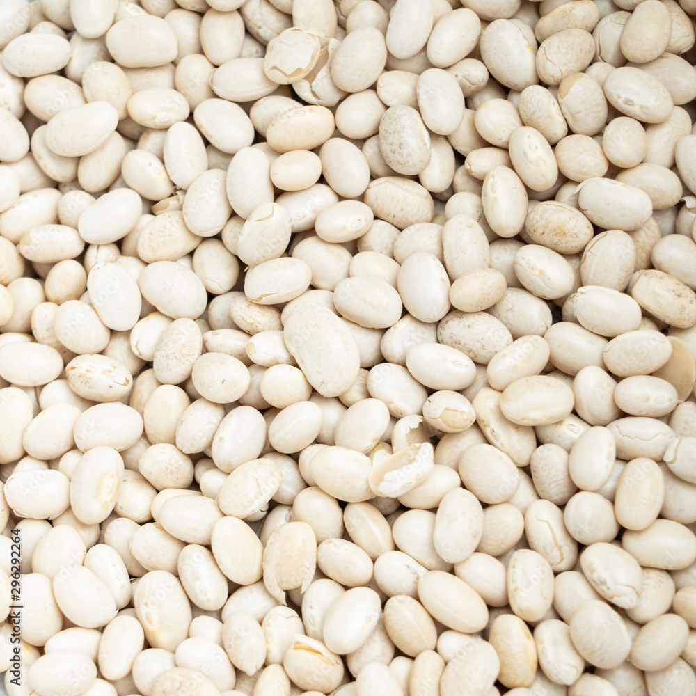 Many white beans in close-up, square Many white beans in close-up, square