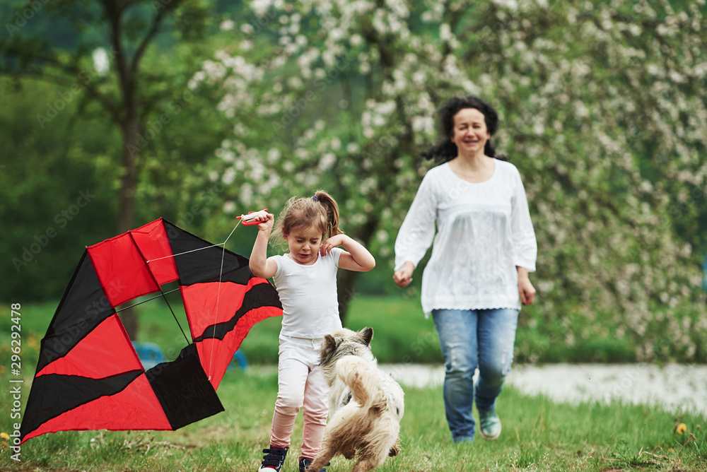 Dog scares kid. Positive female child and grandmother running with red and black colored kite in hands outdoors