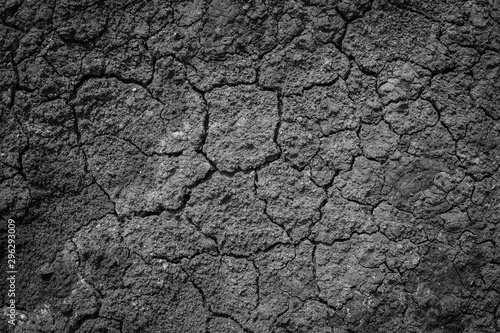 Dried and Cracked ground