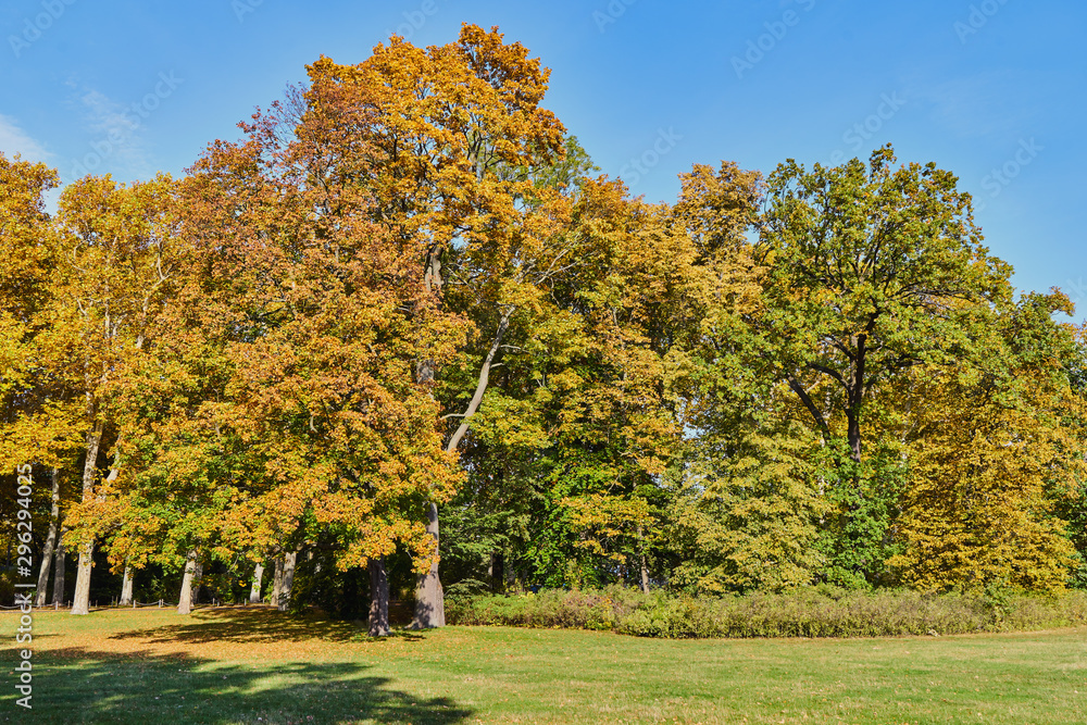 Herbstliches Panorama mit heller Sonne, die durch die Bäume scheint in Berlin im Treptower Park Herbstliches Panorama mit heller Sonne, die durch die Bäume scheint in Berlin im Treptower Park