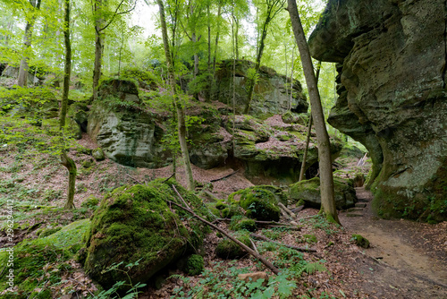 wild green European forest and sandstone canyons