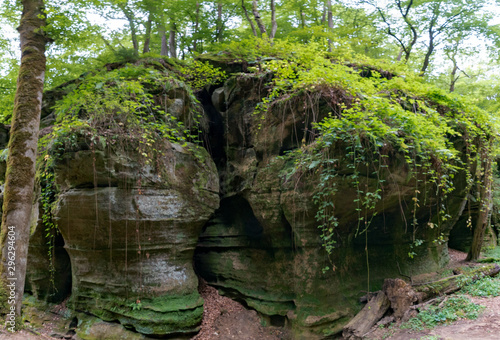 wild green European forest and sandstone canyons
