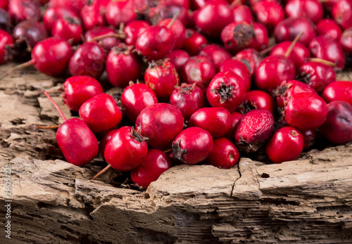 Obraz na plátně Red hawthorn berries on wooden background