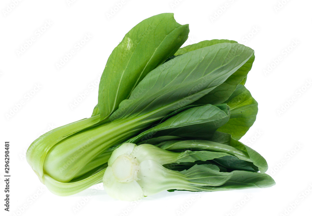 Chinese Vegetable cabbage on white background Chinese Vegetable cabbage on white background