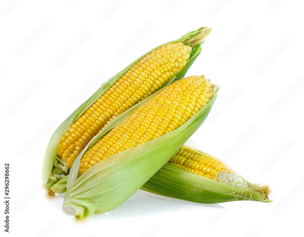 Corn on white background